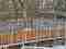 drevene-fasady-a-terasy-realizace-langaron-hradec-kralove29